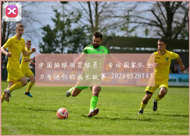 中国排球明星球员：专访国家队主力与他们的成长故事_20260526143159_20260607160813